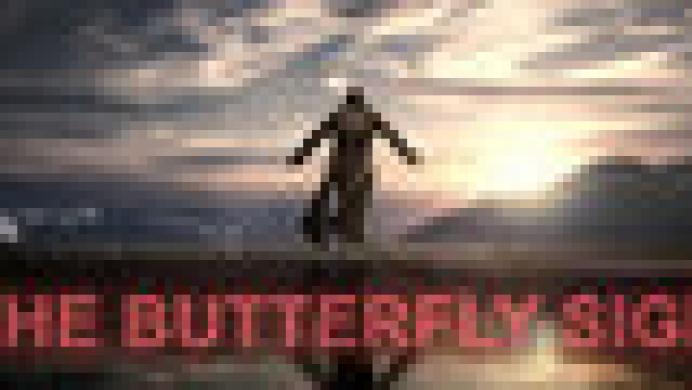 The Butterfly Sign: Human Error