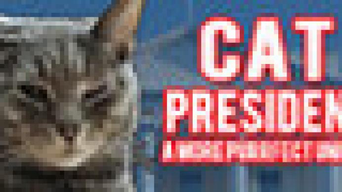 Cat President: A More Purrfect Union