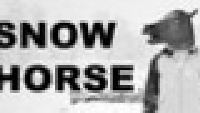 Snow Horse