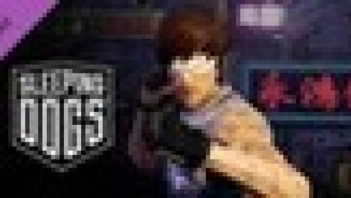 Sleeping Dogs: Retro Triad Pack