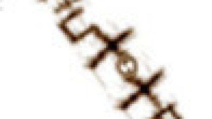 [REC] Shutter
