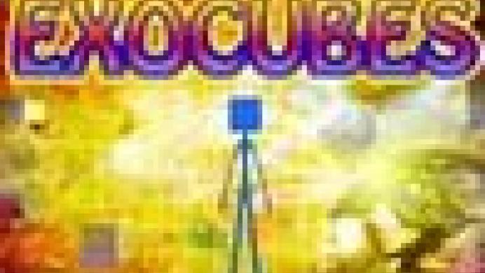 Exocubes