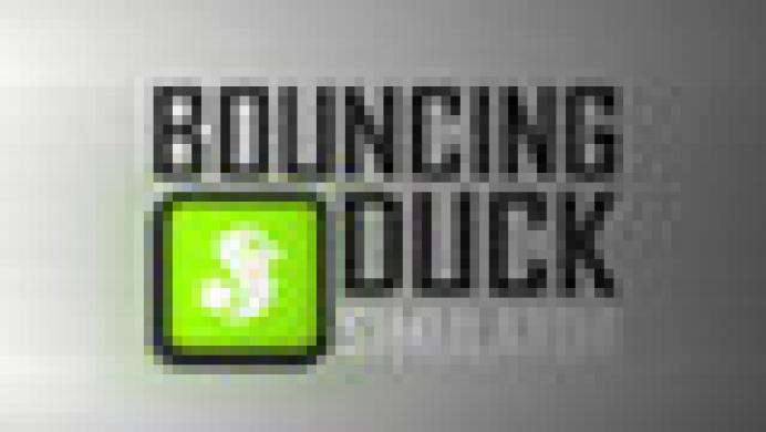 Bouncing Duck Simulator