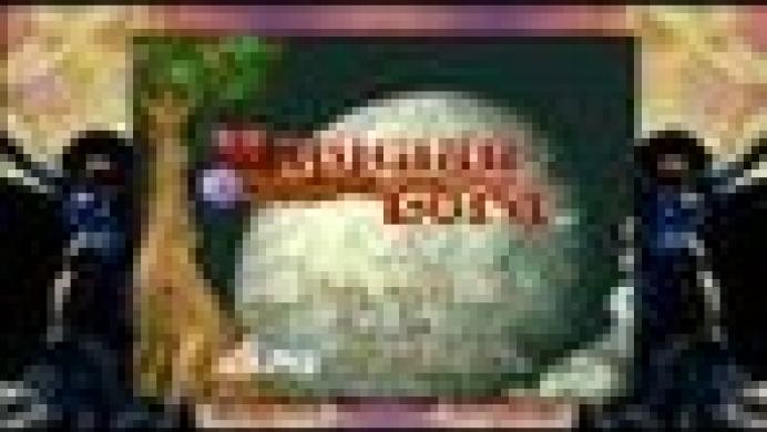 Magician Lord Magician Lord