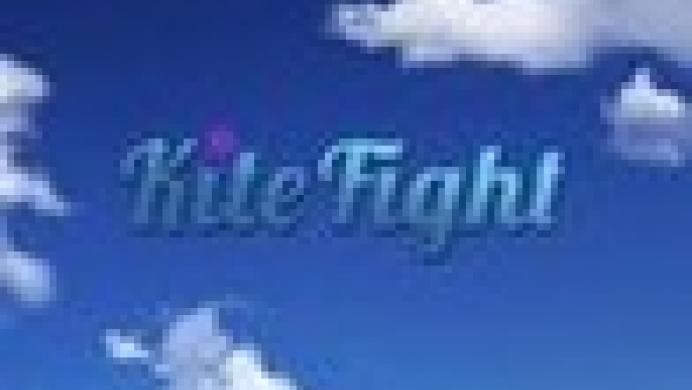 Kite Fight