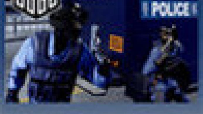 Sleeping Dogs: SWAT Pack