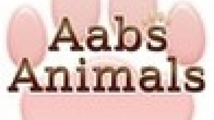 Aabs Animals