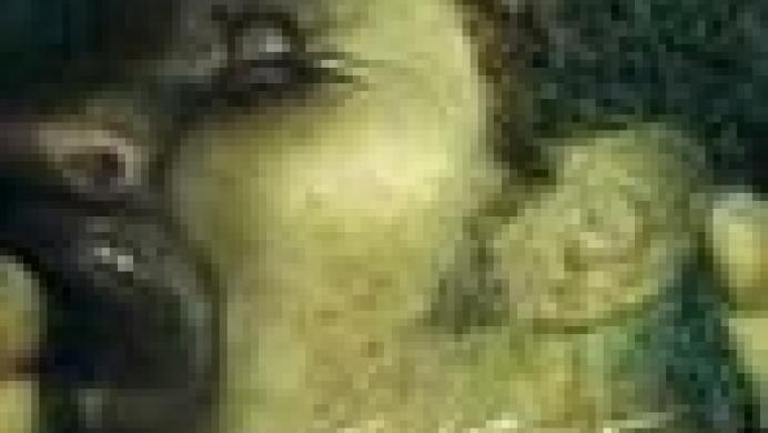 Curse: The Eye of Isis