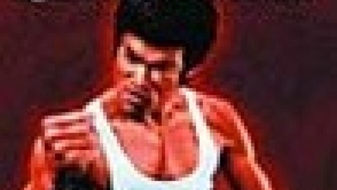 Bruce Lee: Quest of the Dragon