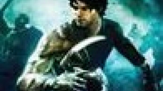 Dark Sector