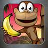 Monkey Bongo