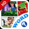 What's the Word? HD