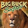 Big Buck Safari