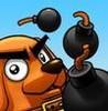 Bomber Dog