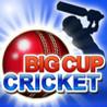 Big Cup Cricket