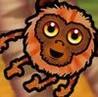 Monkey Bump