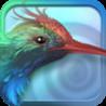 Flora: Jewel Quest