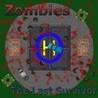 Zombies: The Last Survivor