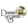 Destiny of Spirits