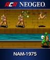 ACA NeoGeo: NAM-1975