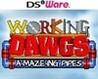 Working Dawgs: A-Maze-ing Pipes