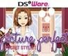 Picture Perfect Pocket Stylist