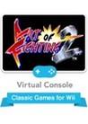 Art of Fighting 2