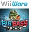 Big Bass Arcade