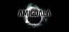 Amigdala