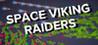 Space Viking Raiders