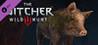 The Witcher 3: Wild Hunt - New Quest: 'Fool's Gold'