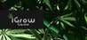 iGrow Game