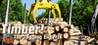 Timber! The Logging Experts