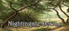 Nightingale Downs