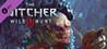 The Witcher 3: Wild Hunt - New Quest: 'Contract: Skellige's Most Wanted'
