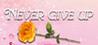 Never give up!
