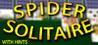 Casual Spider Solitaire