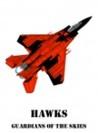 Hawks: Guardians of the Skies