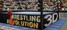 Wrestling Revolution 3D