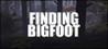 BIGFOOT