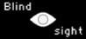 Blindsight