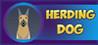 Herding Dog