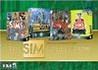 The Sims Collection