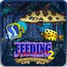 Feeding Frenzy 2: Shipwreck Showdown