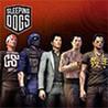 Sleeping Dogs: Dragon Master Pack