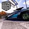 Sleeping Dogs: Wheels of Fury
