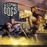 Sleeping Dogs: Money King Pack