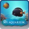 My Aquarium