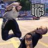 Sleeping Dogs: Drunken Fist Pack