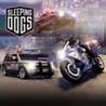 Sleeping Dogs: Law Enforcer Pack